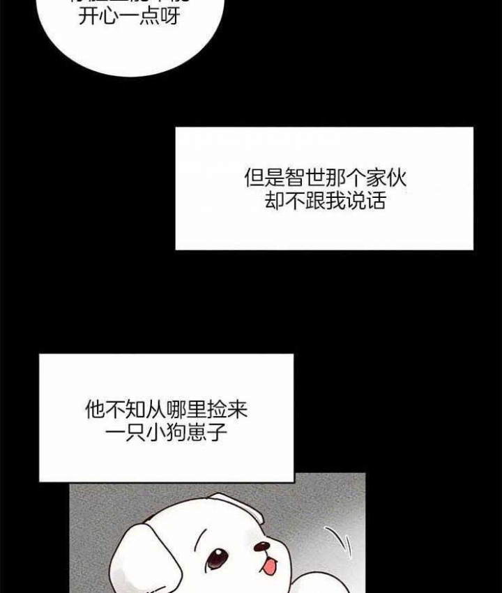 《理事的甜点》第53话 第33页