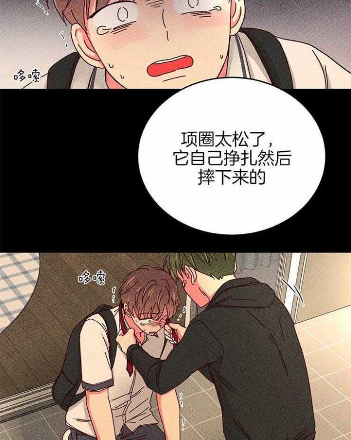 《理事的甜点》第54话 第12页