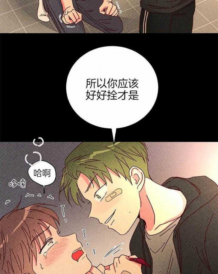 《理事的甜点》第54话 第13页