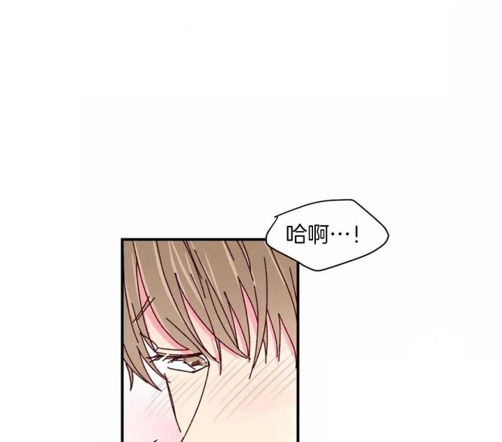 《理事的甜点》第67话 第12页