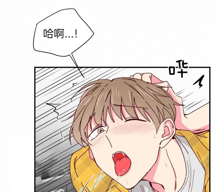 《理事的甜点》第66话 第23页