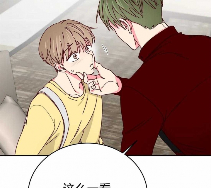 《理事的甜点》第74话 第35页