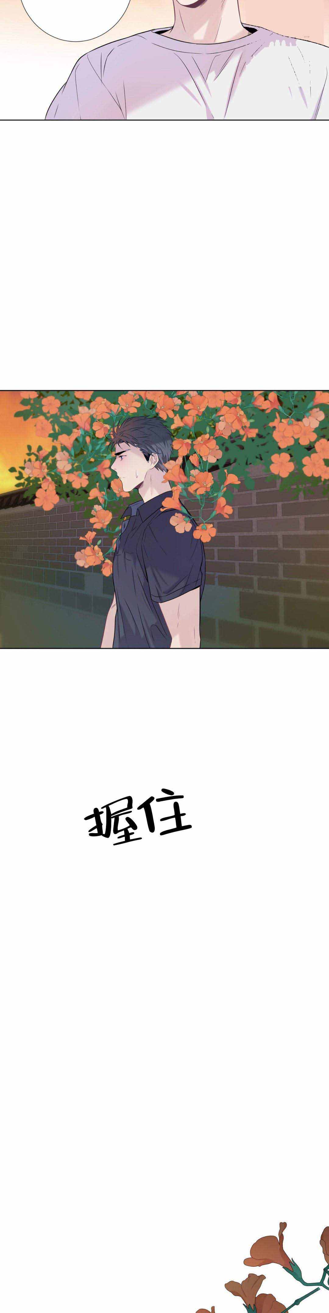 《夏天的客人》第12话 第9页