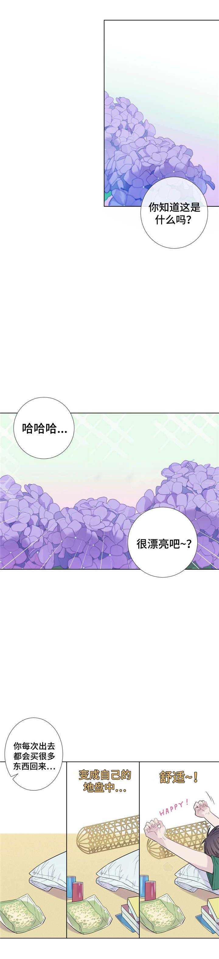 《夏天的客人》第13话 第4页