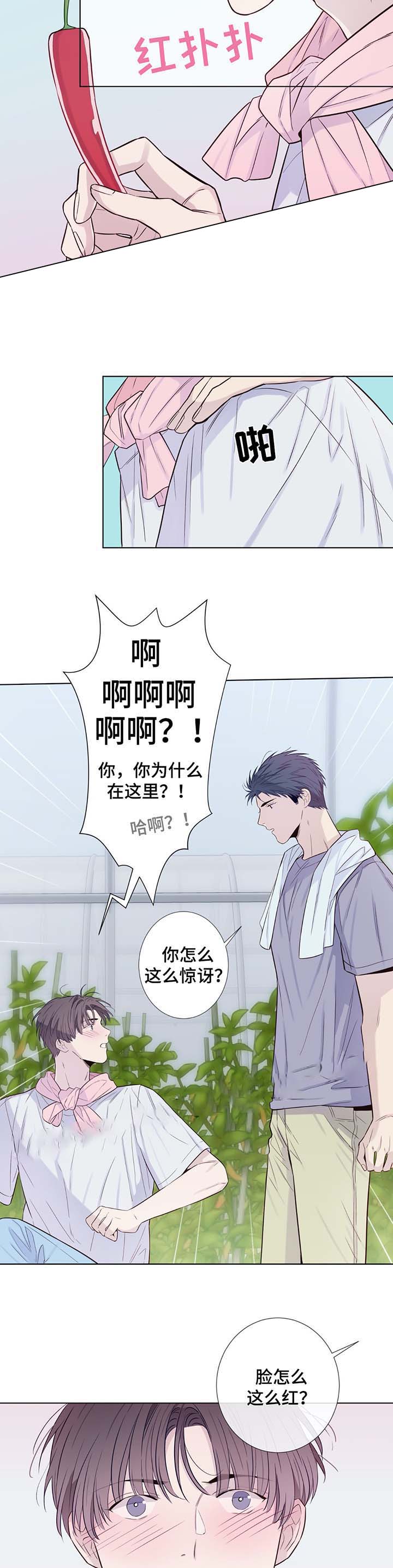 《夏天的客人》第33话 第10页