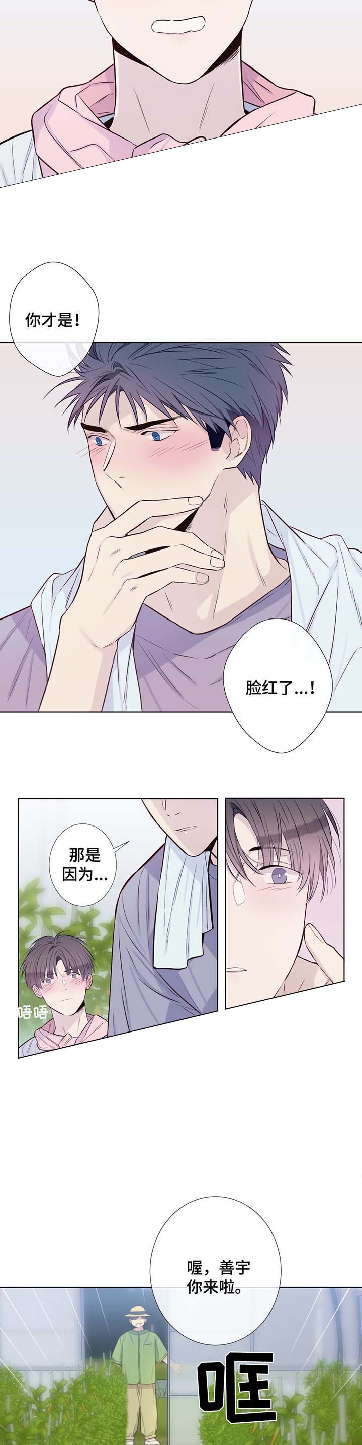 《夏天的客人》第33话 第11页
