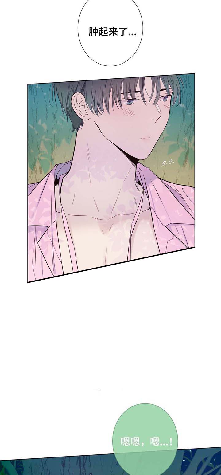 《夏天的客人》第31话 第2页