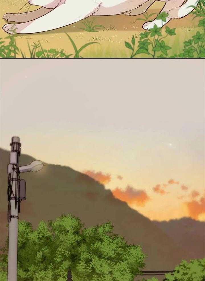 《夏天的客人》第57话 第36页