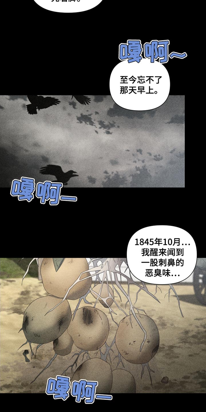 《狼人与血族》第37话 第11页