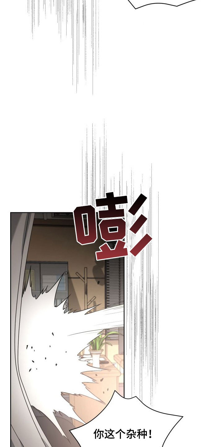 《狼人与血族》第48话 第14页