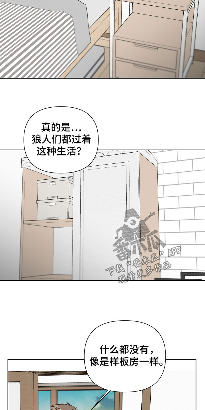 《狼人与血族》第53话 第17页