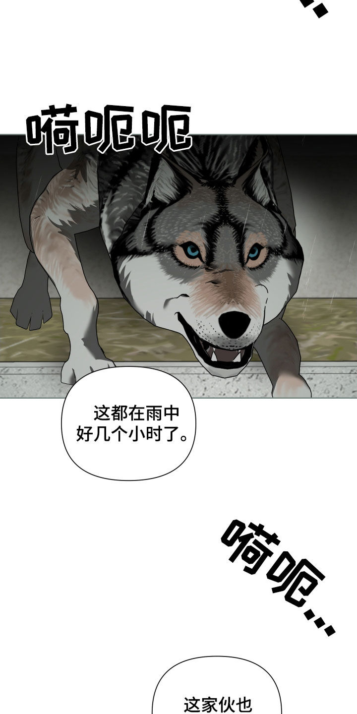 《狼人与血族》第59话 第24页