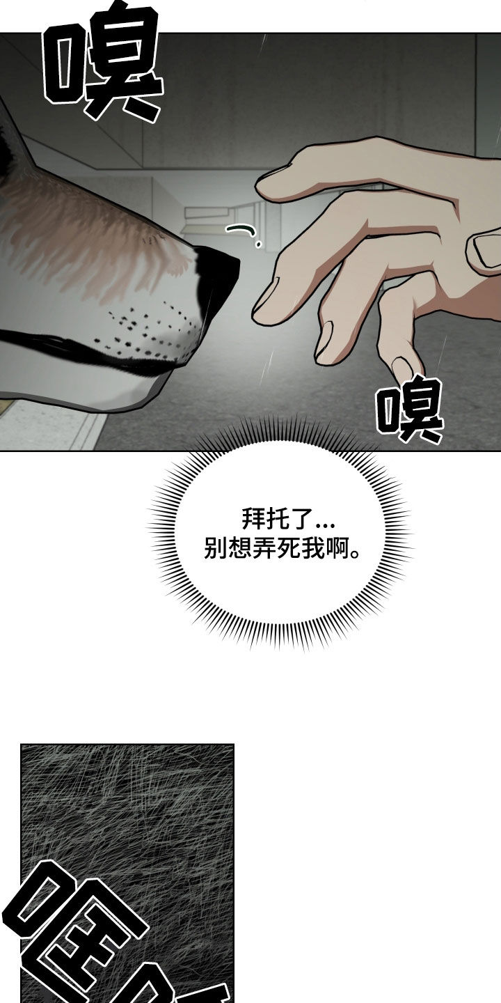 《狼人与血族》第60话 第4页