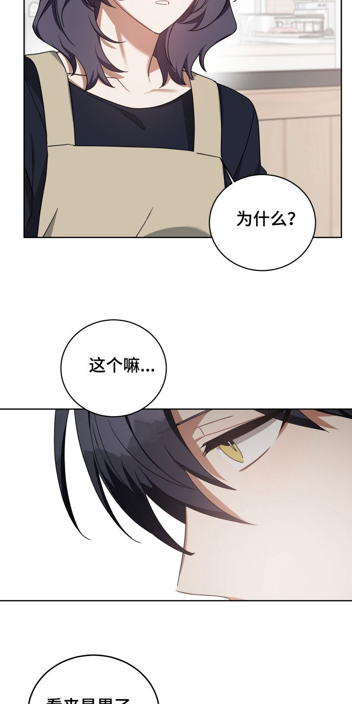 《狼人与血族》第63话 第17页
