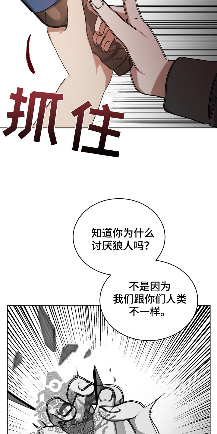 《狼人与血族》第64话 第24页