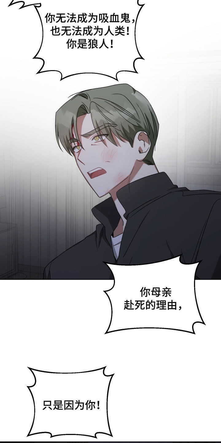 《狼人与血族》第68话 第11页