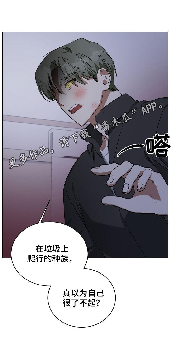 《狼人与血族》第68话 第1页