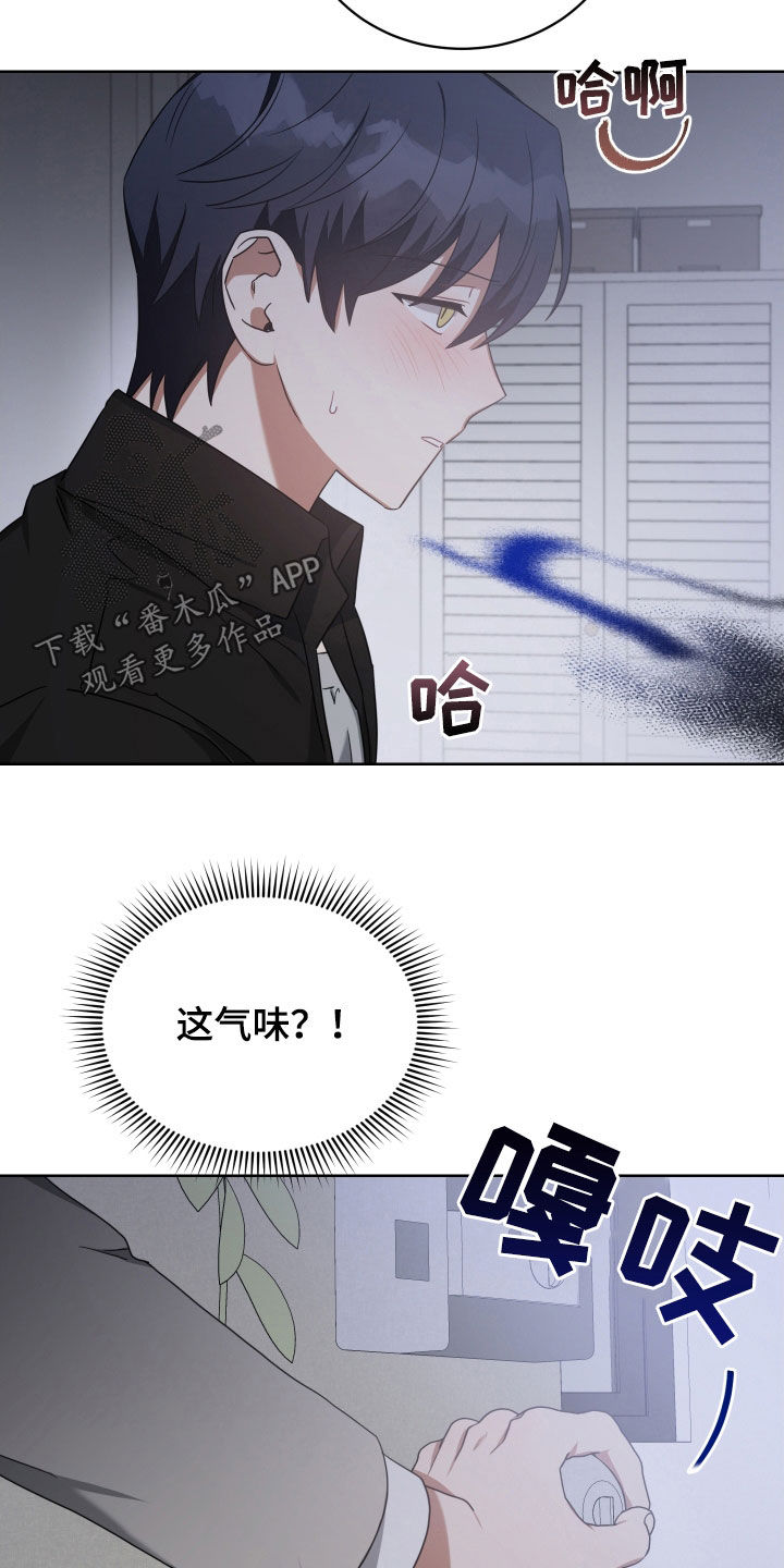 《狼人与血族》第66话 第19页