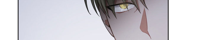 《狼人与血族》第67话 第17页