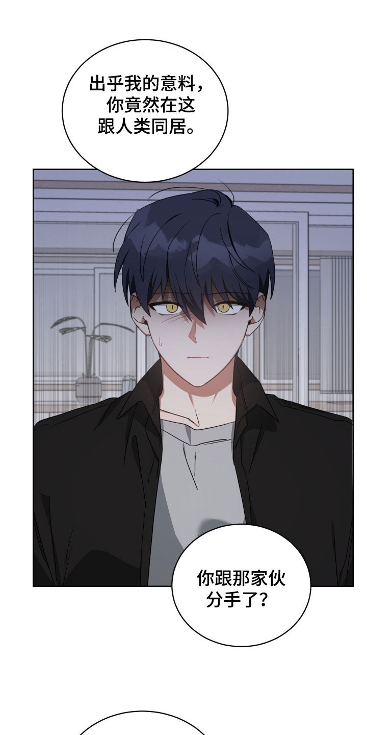 《狼人与血族》第67话 第6页