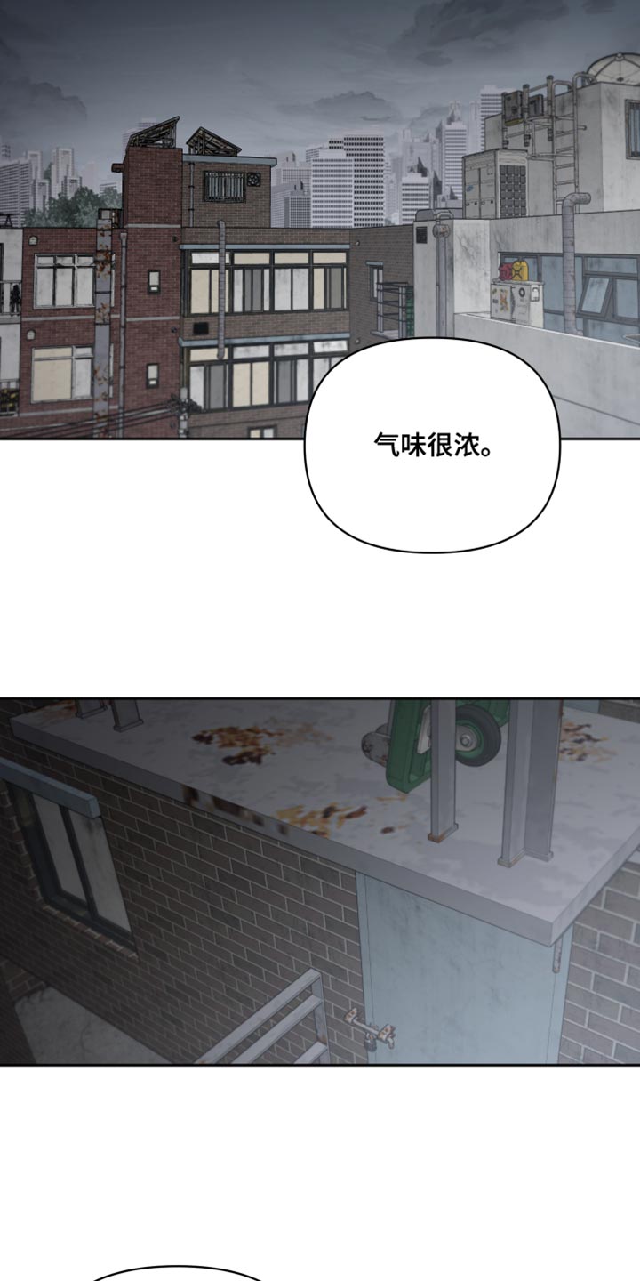 《狼人与血族》第74话 第14页