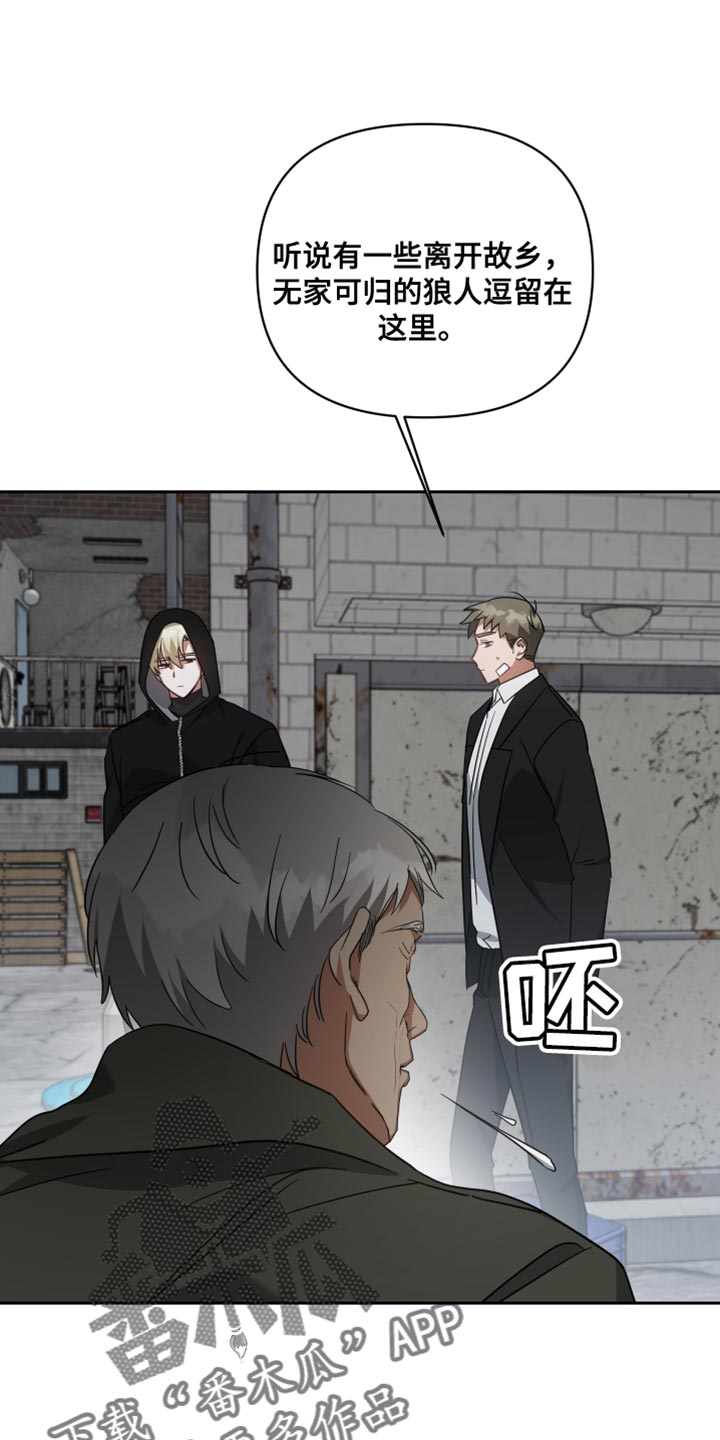 《狼人与血族》第74话 第19页