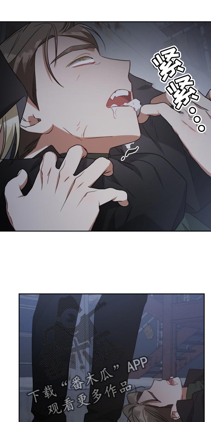 《狼人与血族》第76话 第18页