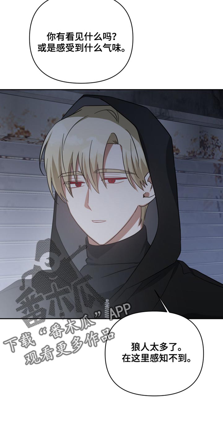 《狼人与血族》第76话 第4页