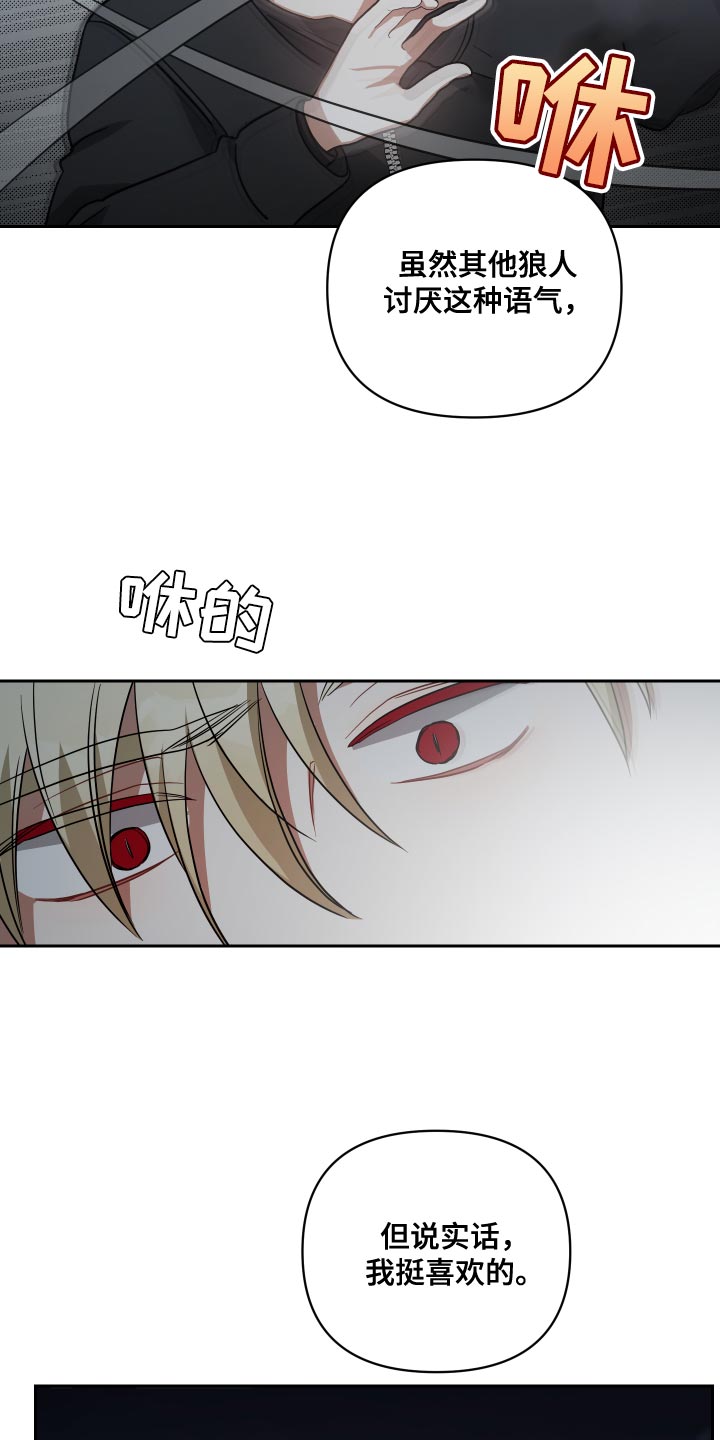 《狼人与血族》第79话 第17页