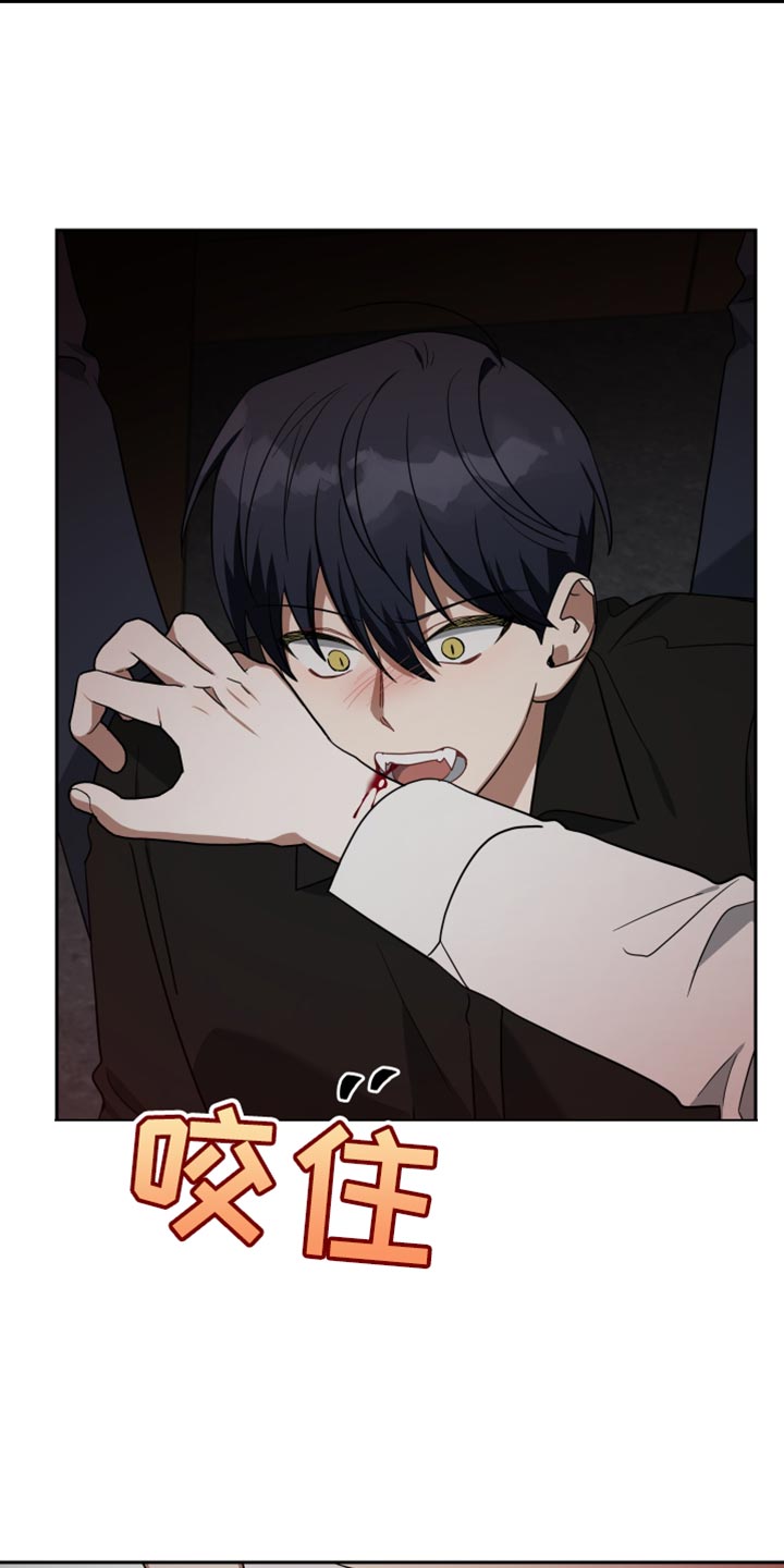 《狼人与血族》第83话 第6页