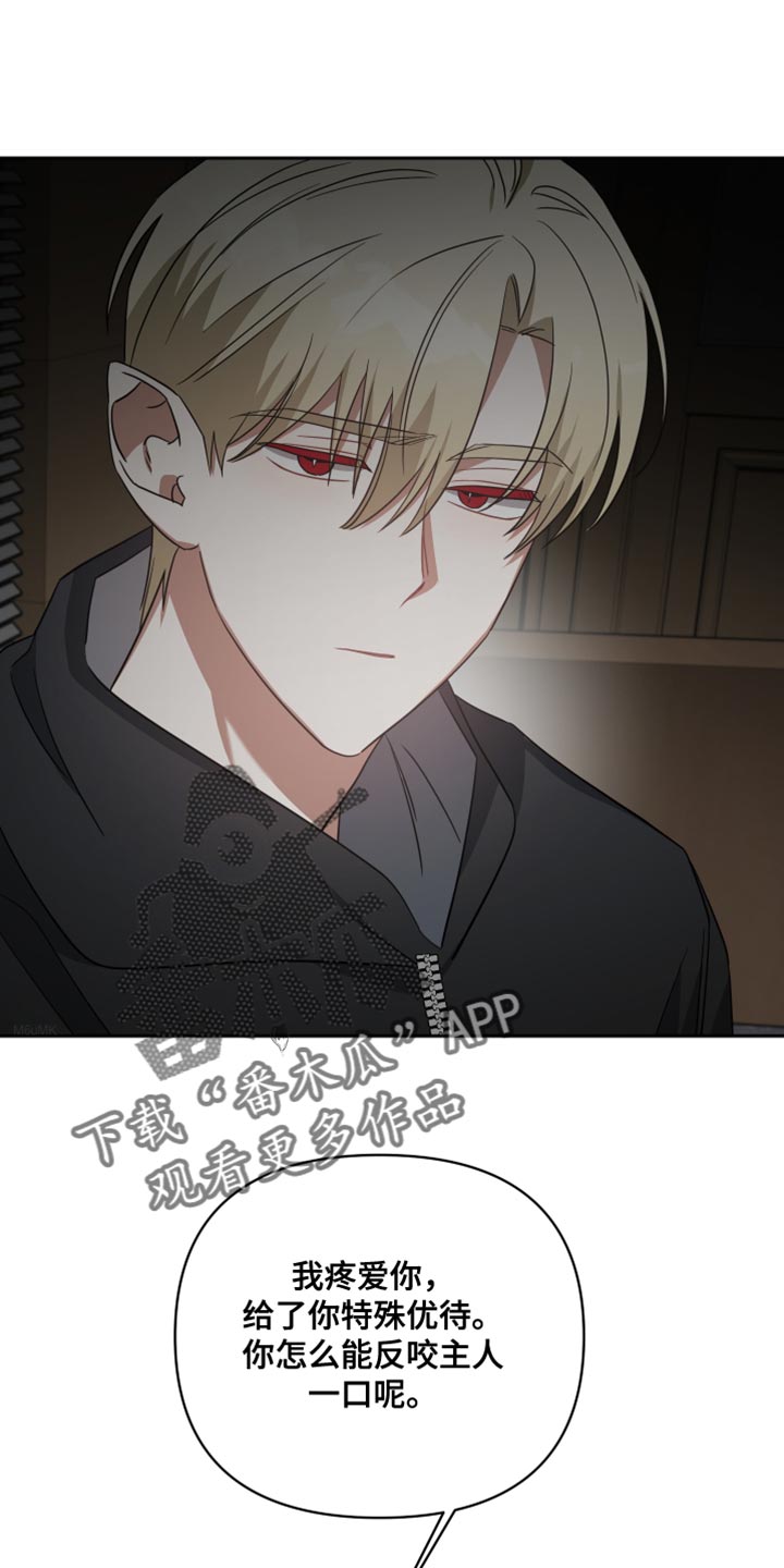 《狼人与血族》第84话 第5页