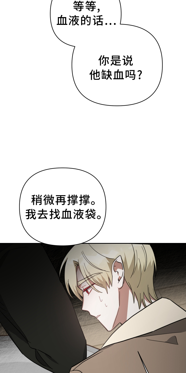 《狼人与血族》第91话 第17页