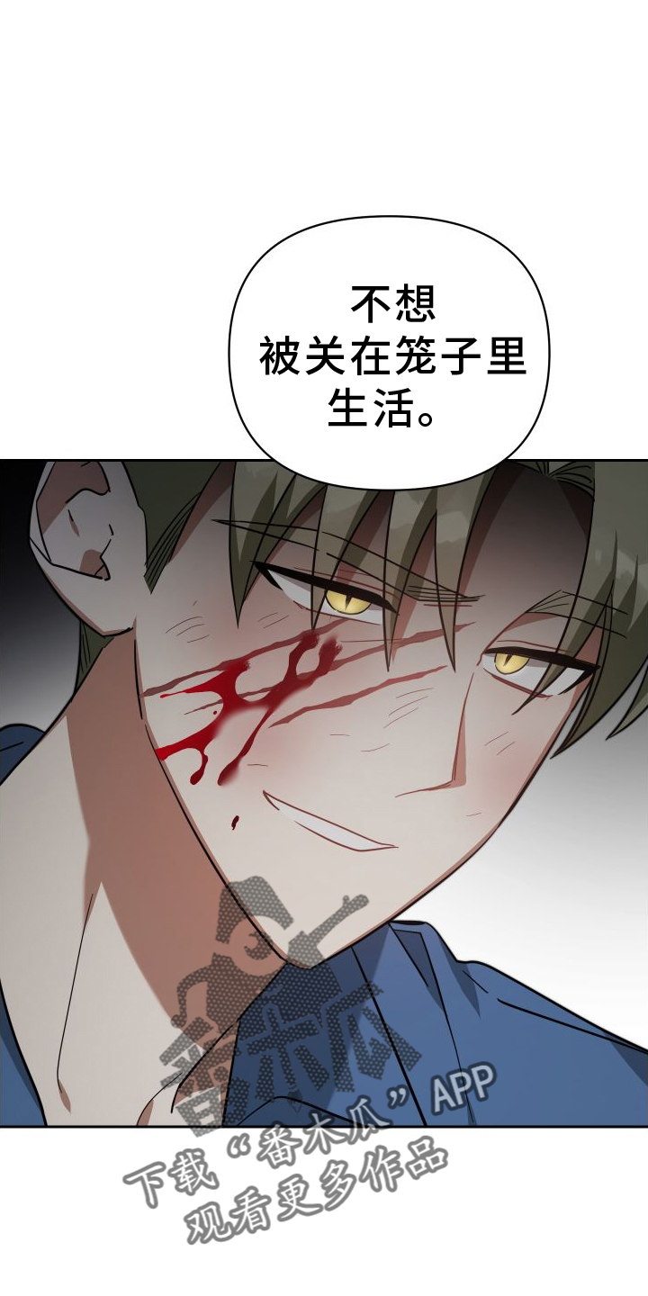 《狼人与血族》第114话 第20页