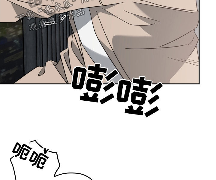 《狼人与血族》第116话 第17页