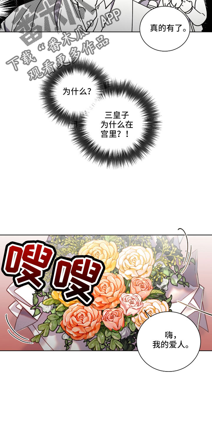 《太子的恶趣味》第49话 第17页