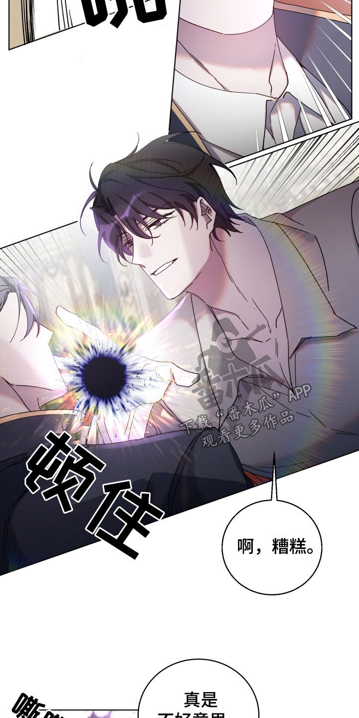 《太子的恶趣味》第73话 第13页