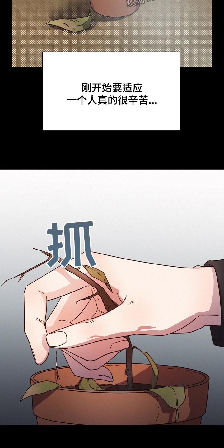 《好人先生》第81话 第6页