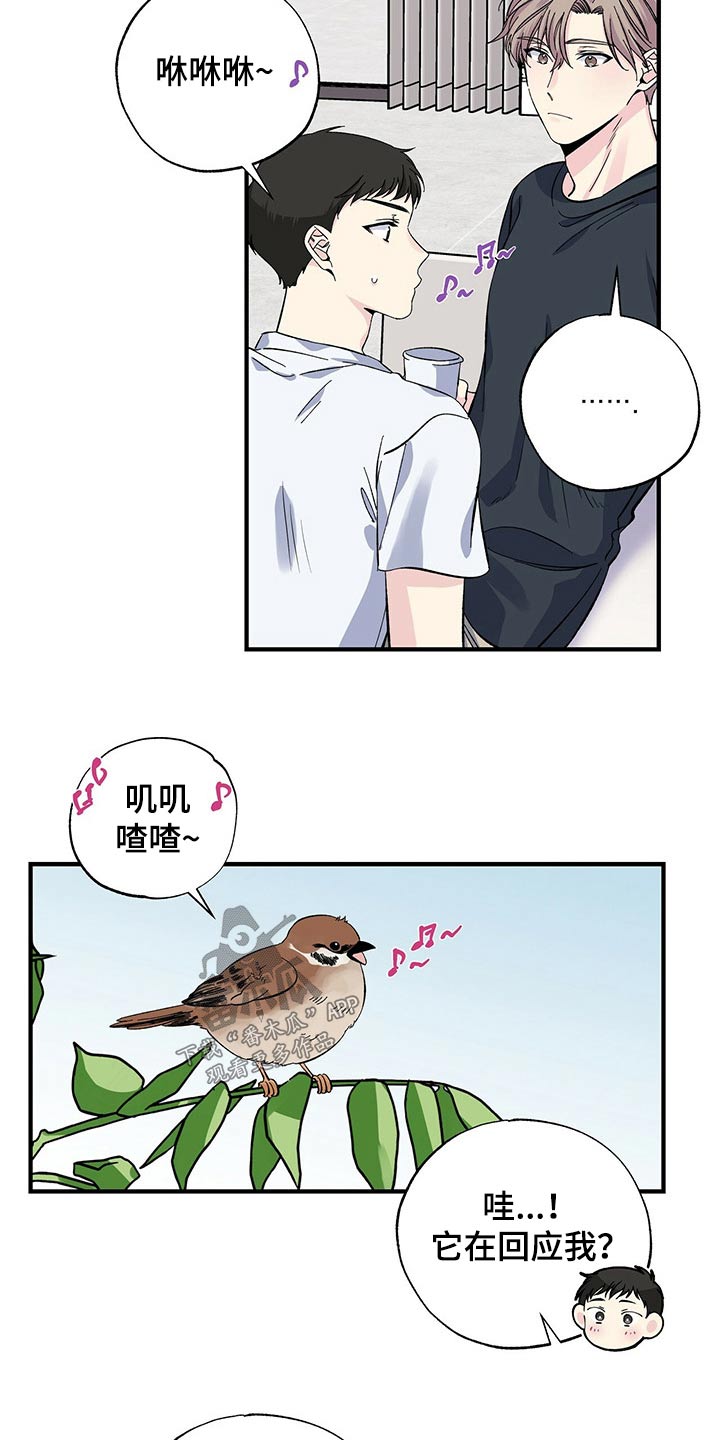 《暧昧误会》第51话 第12页