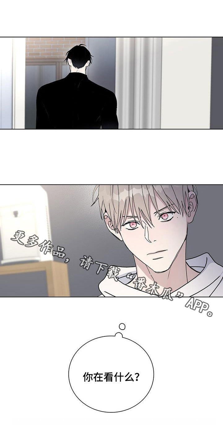 《危险爆发》第59话 第20页