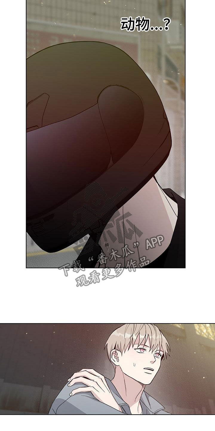 《危险爆发》第52话 第22页