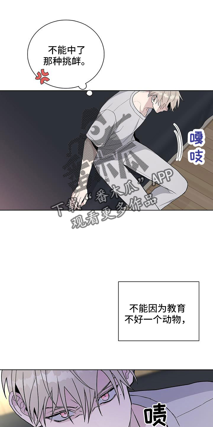 《危险爆发》第38话 第13页