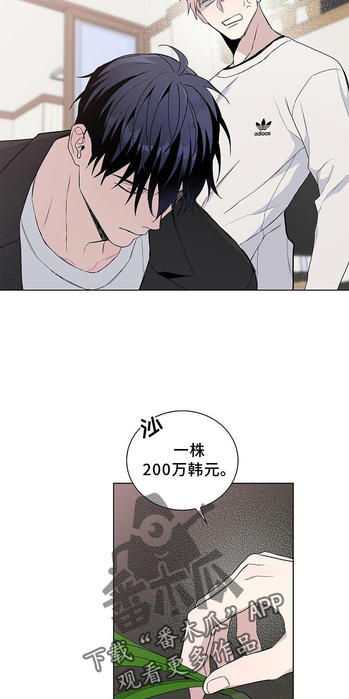 《危险爆发》第33话 第10页
