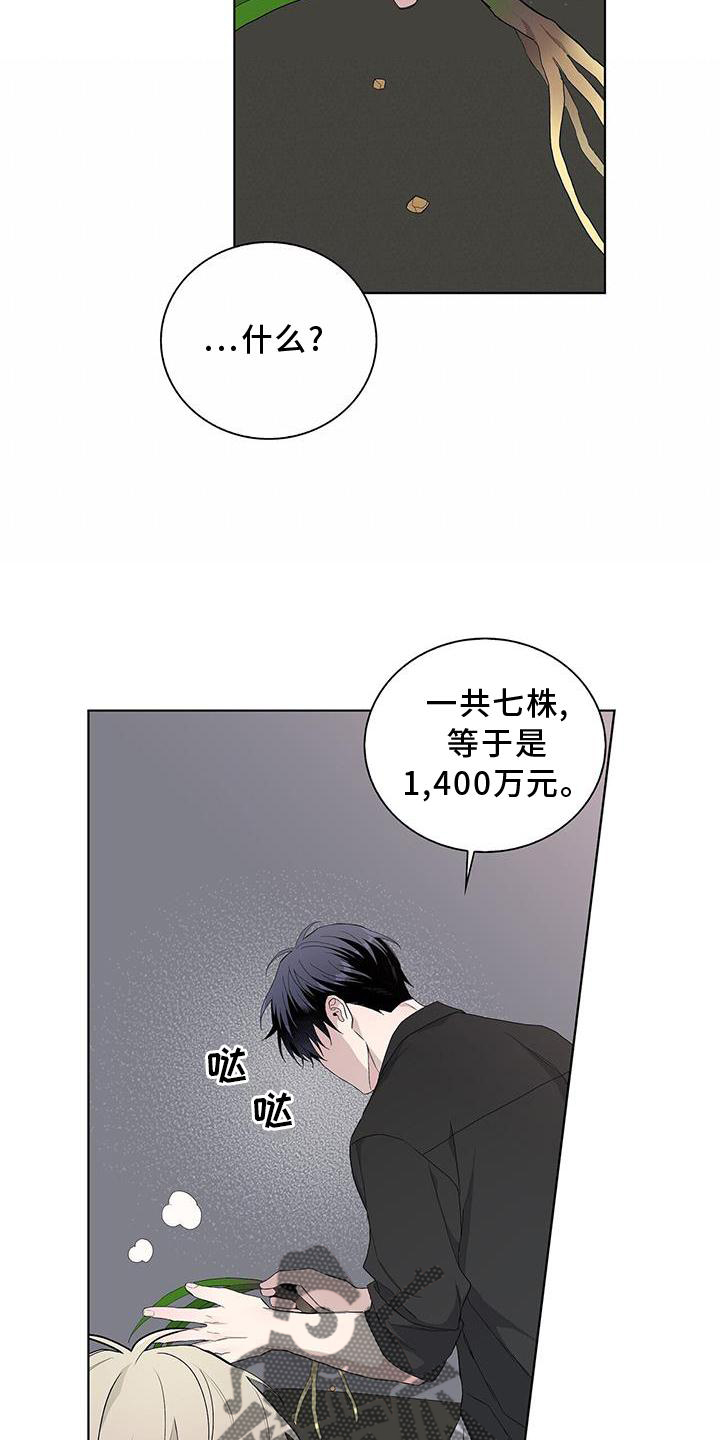 《危险爆发》第33话 第11页