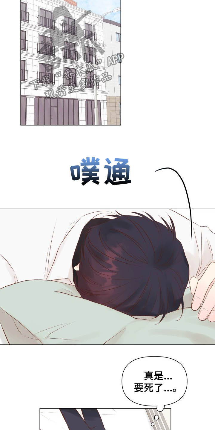 《掌中玫瑰》第15话 第19页