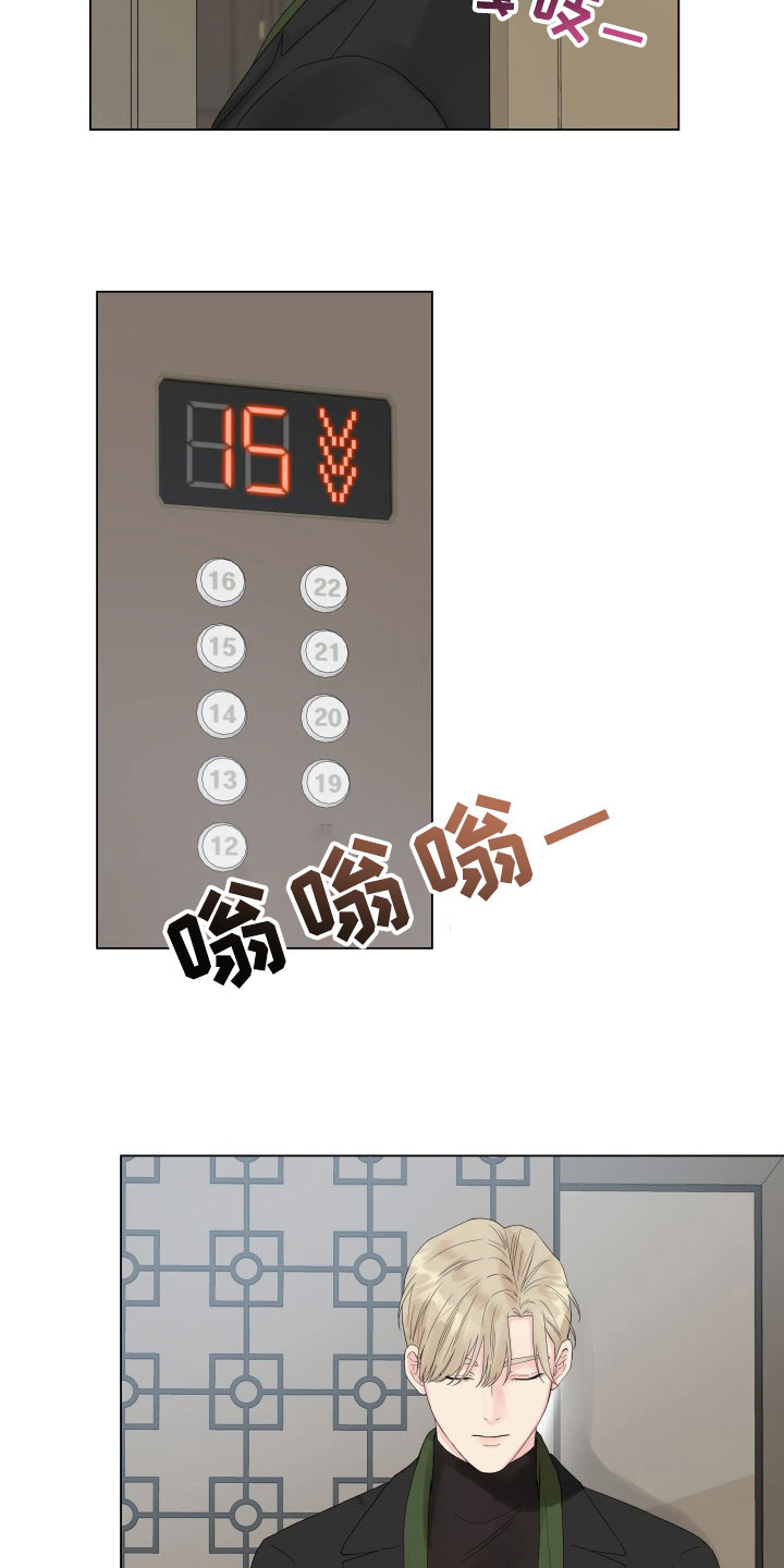 《掌中玫瑰》第13话 第12页
