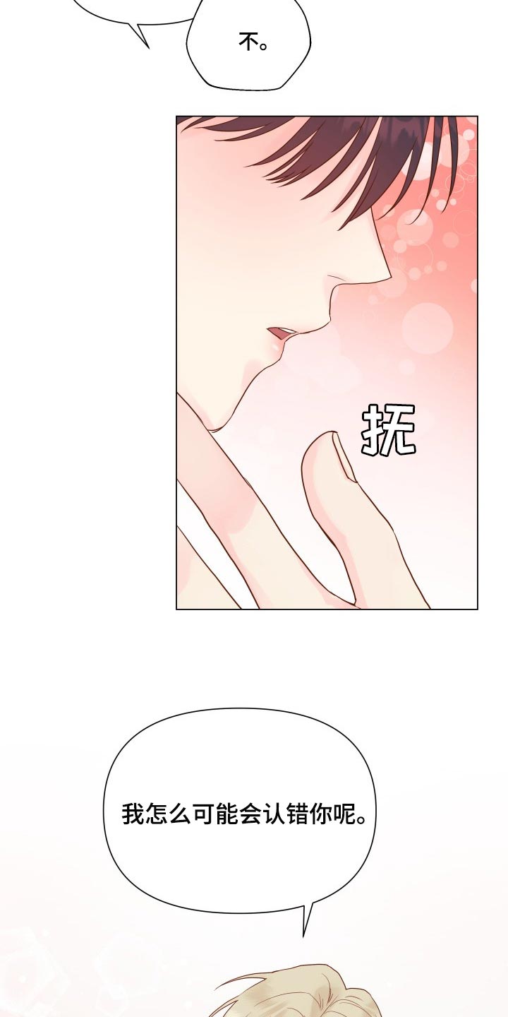 《掌中玫瑰》第17话 第20页