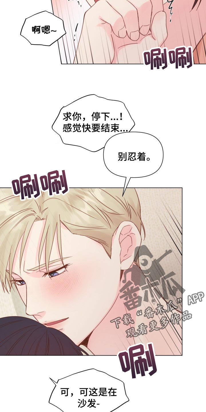 《掌中玫瑰》第19话 第11页