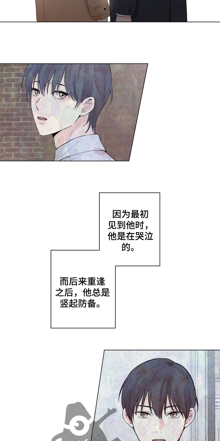 《掌中玫瑰》第25话 第19页