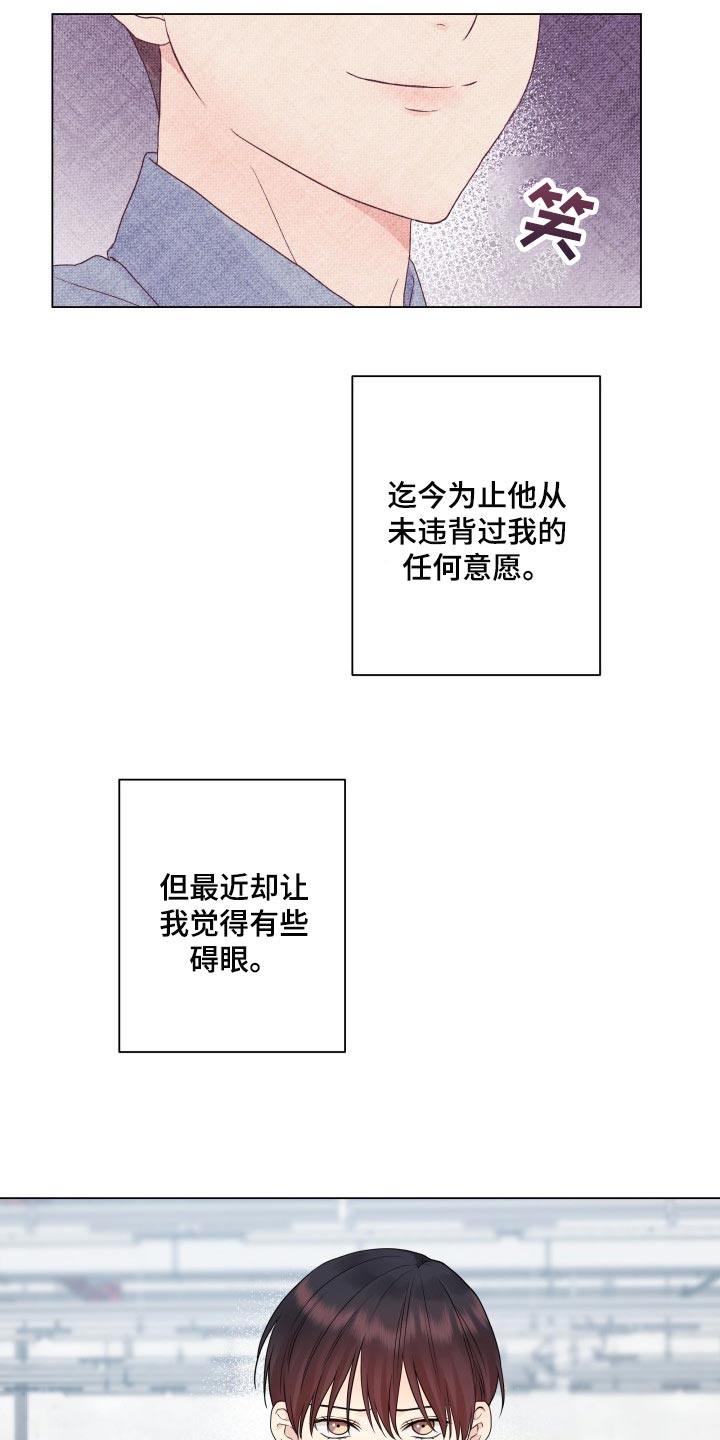 《掌中玫瑰》第29话 第5页