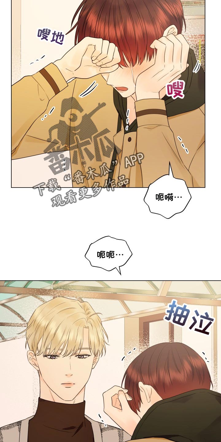 《掌中玫瑰》第35话 第13页